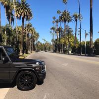 Отзыв от Николай - виза ДТВ